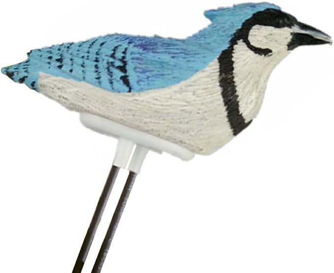 lmoikesz Humidimètre Oiseau Bleu